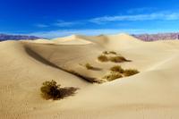 Death Valley Sand Dunes